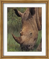 Framed Rhino And Oxpecker Bird