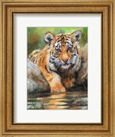 Framed Tiger Cub Water