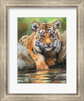 Framed Tiger Cub Water