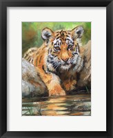 Framed Tiger Cub Water