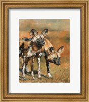 Framed African Wild Dogs