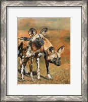 Framed African Wild Dogs