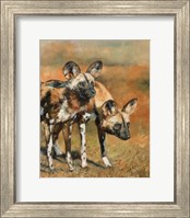 Framed African Wild Dogs