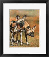 Framed African Wild Dogs