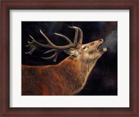 Framed Red Deer Stag Winter Breath