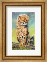 Framed Baby Cheetah Awakens!