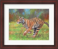Framed Tiger Running