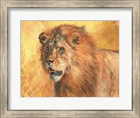 Framed Mane Lion