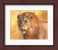 Framed Mane Lion