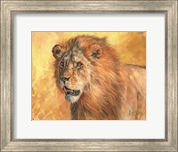 Framed Mane Lion