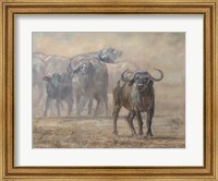 Framed Buffalo Zambia