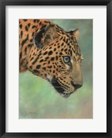 Framed Leopard Profile