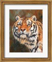 Framed April Tiger