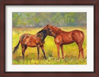 Framed Horse Love
