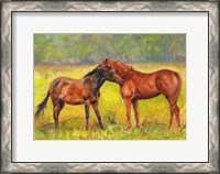Framed Horse Love
