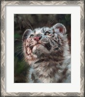 Framed White Tiger Cub Portrait