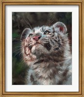 Framed White Tiger Cub Portrait