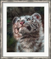 Framed White Tiger Cub Portrait