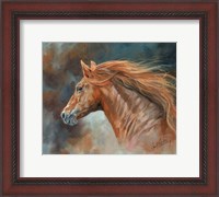 Framed Stallion