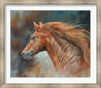 Framed Stallion