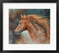 Framed Stallion