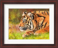 Framed Tiger Study 10