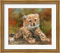 Framed Cheetah Cub Laying Down
