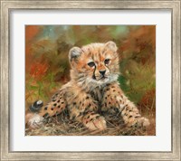 Framed Cheetah Cub Laying Down