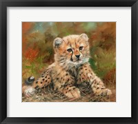 Framed Cheetah Cub Laying Down