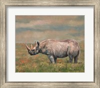 Framed Black Rhino