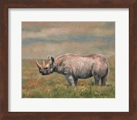 Framed Black Rhino