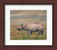 Framed Black Rhino