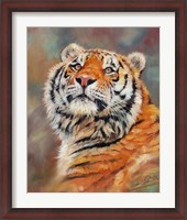 Framed Smiling Tiger