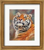 Framed Smiling Tiger