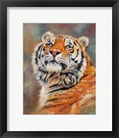 Framed Smiling Tiger