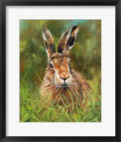 Framed Hare 2