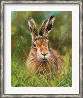 Framed Hare 2