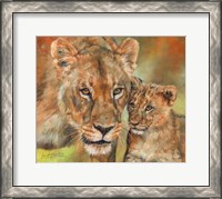 Framed Lioness And Cub