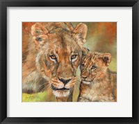 Framed Lioness And Cub