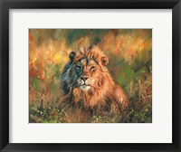 Framed Lion At Sunset