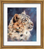 Framed Snow Leopard Portrait 2