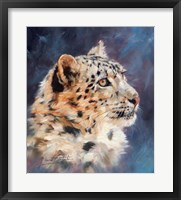 Framed Snow Leopard Portrait 2