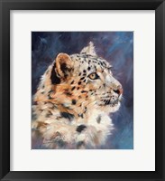 Framed Snow Leopard Portrait 2