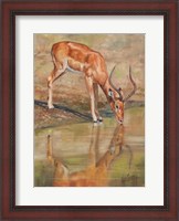 Framed Kudu Reflections