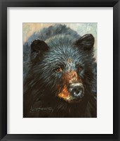 Framed Black Bear