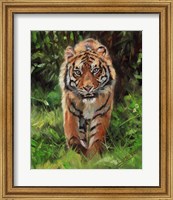 Framed Tiger Prowling
