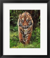 Framed Tiger Prowling