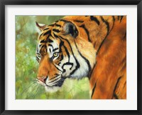Framed Tiger 20