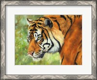 Framed Tiger 20