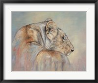 Framed Lioness Fade